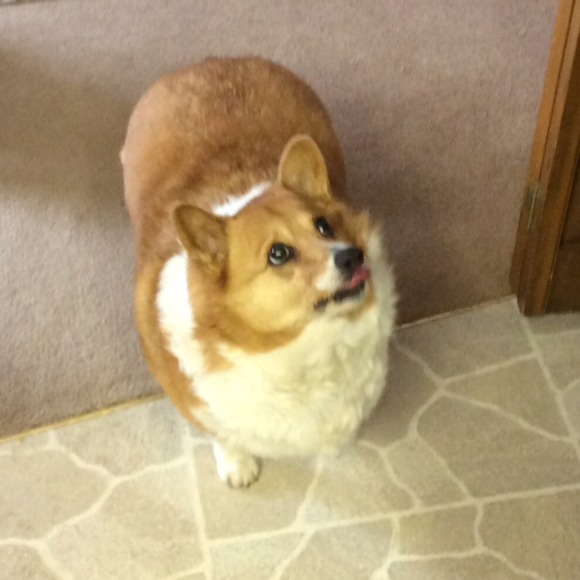 Meet your Posher, Janis - Picture 1 of 1